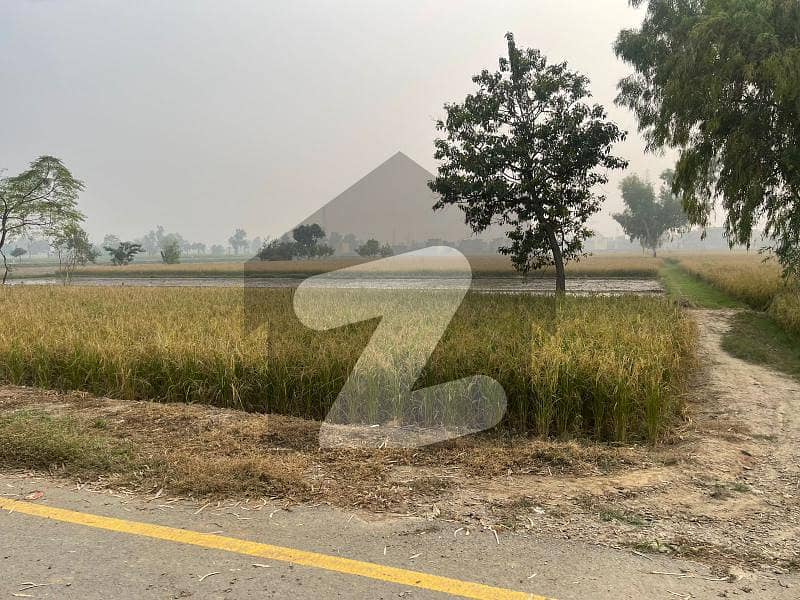 بیدیاں روڈ لاہور میں 8 کنال رہائشی پلاٹ 1.6 کروڑ میں برائے فروخت۔
