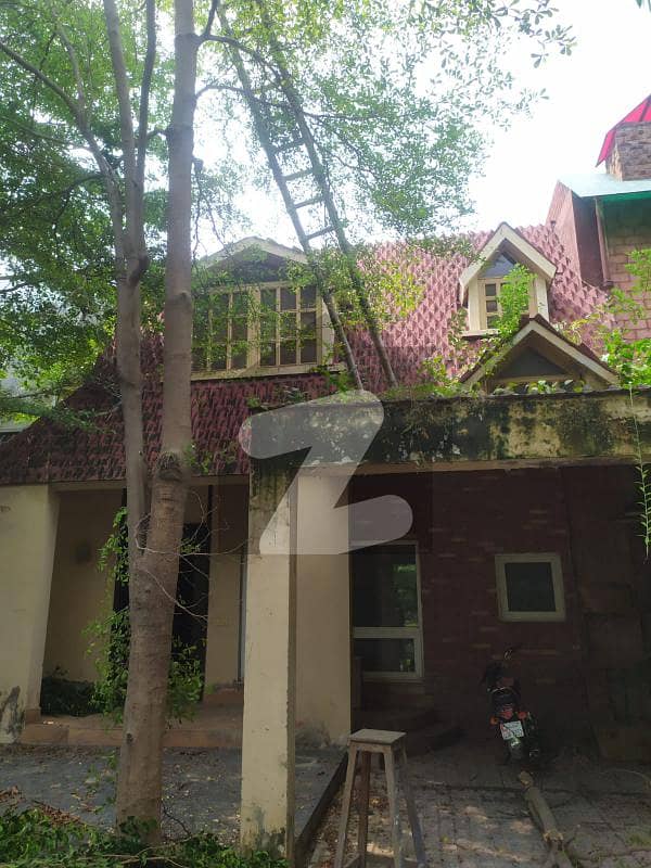 Beautiful House On Main Cantt Beautiful House On Main Cantt