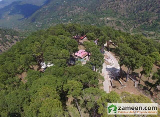 10 Marla Plot In Green Mountains Of Murree Hills