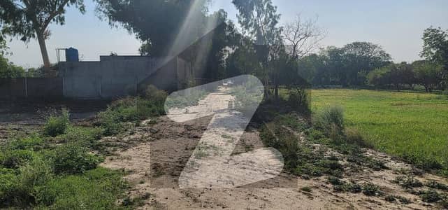 Hot Location 8 Kanal For Your Dream Farm House Plot Is Available