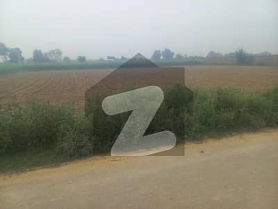 بیدیاں روڈ لاہور میں 24 کنال زرعی زمین 3.6 کروڑ میں برائے فروخت۔