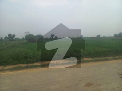 بیدیاں روڈ لاہور میں 16 کنال زرعی زمین 2.4 کروڑ میں برائے فروخت۔