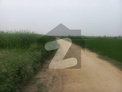 بیدیاں روڈ لاہور میں 16 کنال زرعی زمین 1.9 کروڑ میں برائے فروخت۔