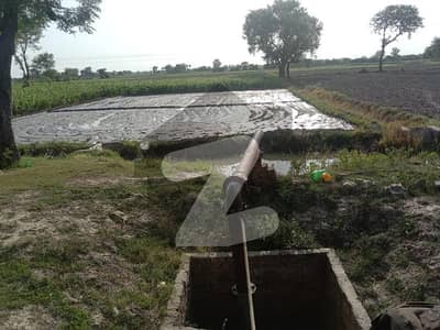 بیدیاں روڈ لاہور میں 8 کنال زرعی زمین 1.0 کروڑ میں برائے فروخت۔