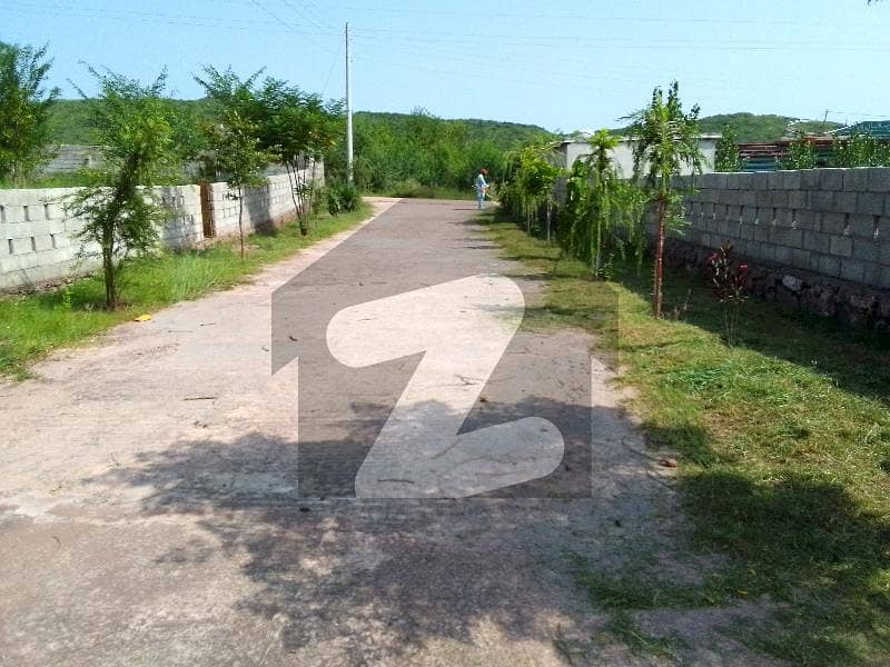 2 Kanal Plot Size 100x90 Street 30 Ft Electricity Available In Street Registry Intqal