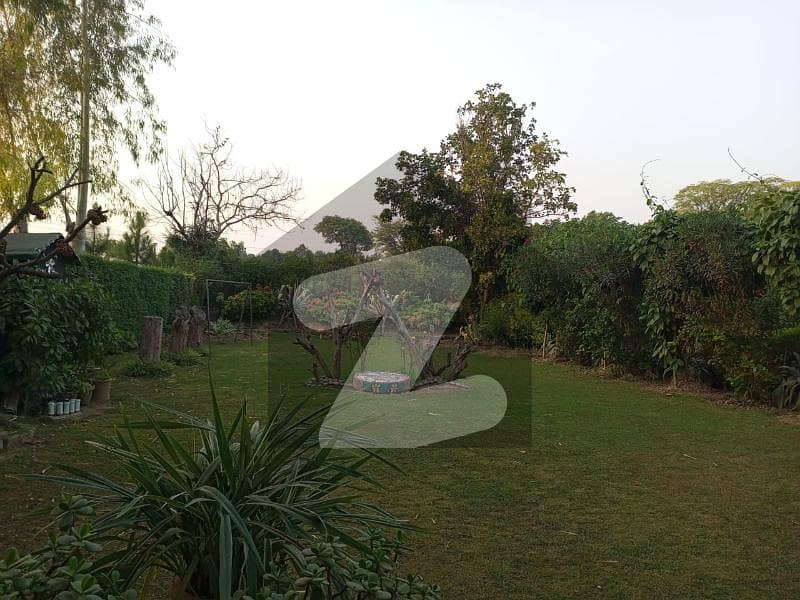 3 Bed Upper Portion Available For Rent 3 Bed Upper Portion Available For Rent