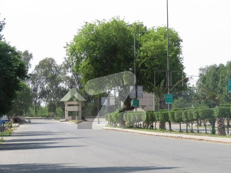 1 Kanal 100 Ft Road Plot For Sale In NFC 2 A Block
