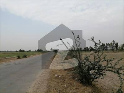 فیصل آباد بائی پاس روڈ فیصل آباد میں 13 کنال زرعی زمین 2.8 کروڑ میں برائے فروخت۔