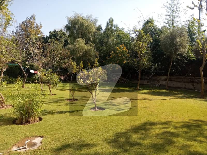 E11 Basement 4 Bed For Rent E11 Basement 4 Bed For Rent