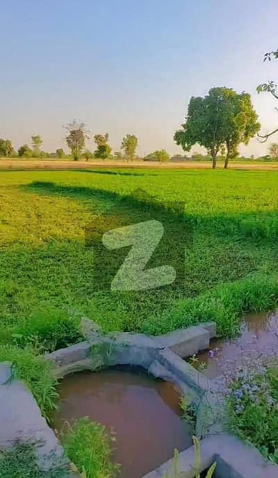 بیدیاں روڈ لاہور میں 200 کنال زرعی زمین 15.0 کروڑ میں برائے فروخت۔