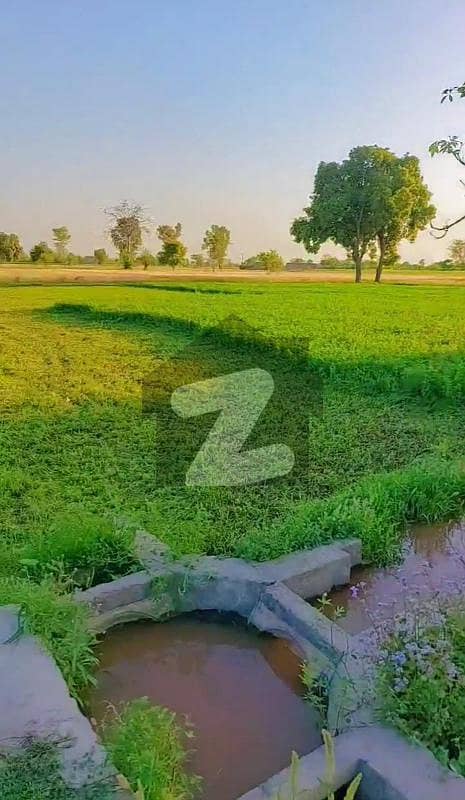 بیدیاں روڈ لاہور میں 200 کنال زرعی زمین 15.0 کروڑ میں برائے فروخت۔