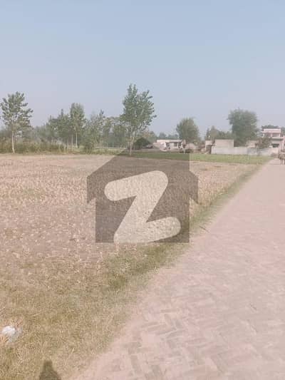 24 KANAL AGRICULTURE LAND FOR SALE IN DODHA IN VERY REASONABLE RATES.
