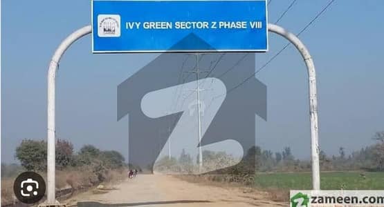DHA phase 8 Ivy green Z3