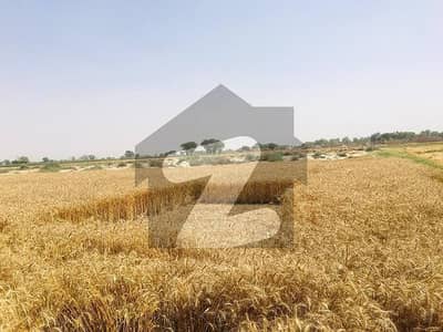 5 Acre Of Highly Cultivable Land Rich With Nutrients Easy Access From Main Road