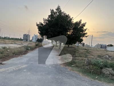 سعدی