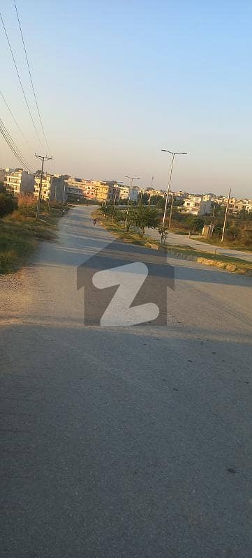 Main Double Road Back Main Double Road Back