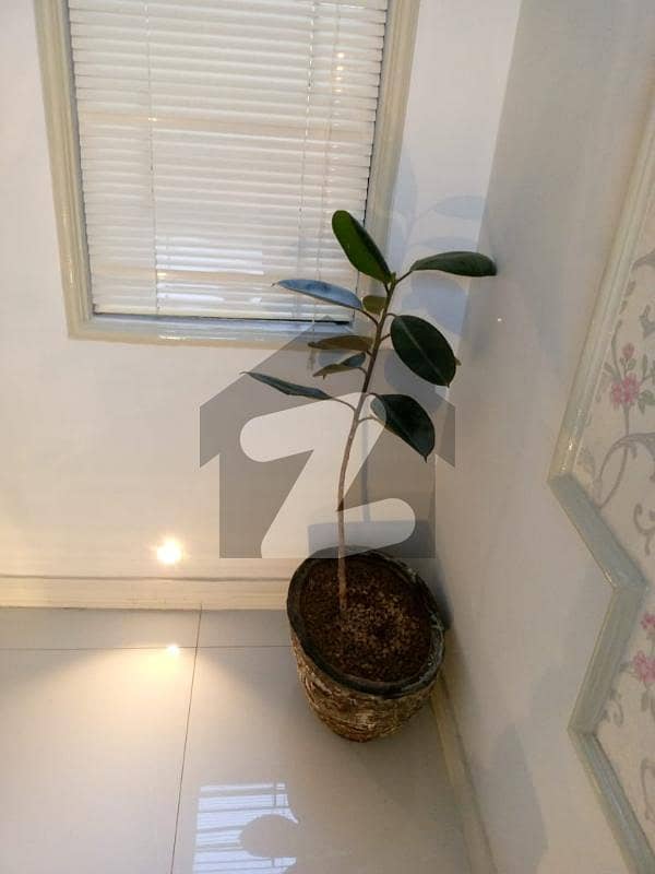 3 marla house for rent jubilee town Jubilee Town Block C, Jubilee