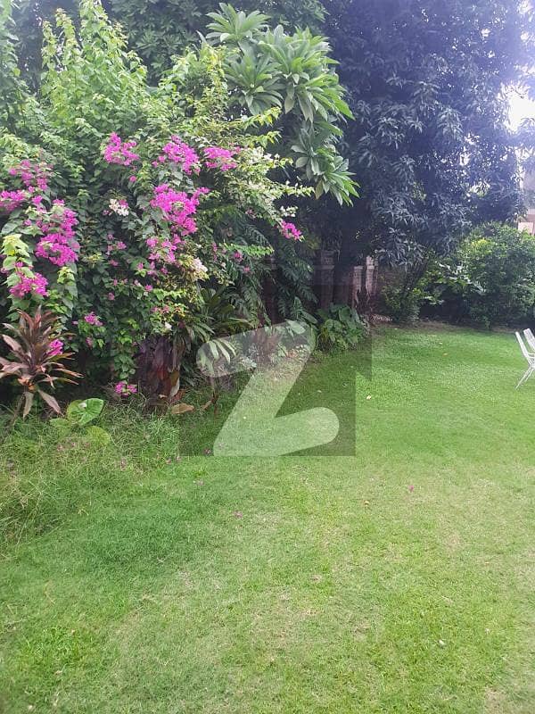 Corner 02 Kanal Old House & One Kanal Lawn Is Available For Sale In DHA Phase 1 Block L Lahore