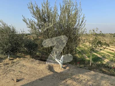 دیگر