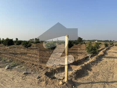 دیگر
