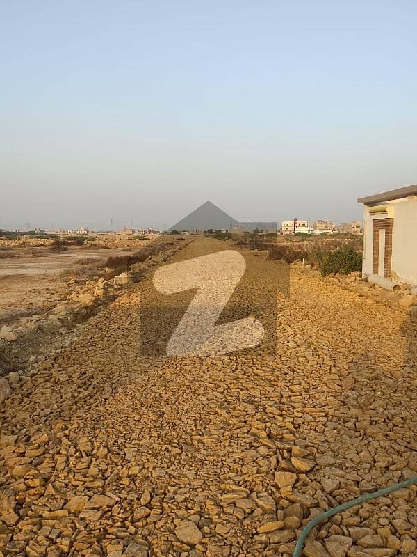 240 Square Yards Residential Plot For Sale In The Perfect Location Of Al Noor Colony