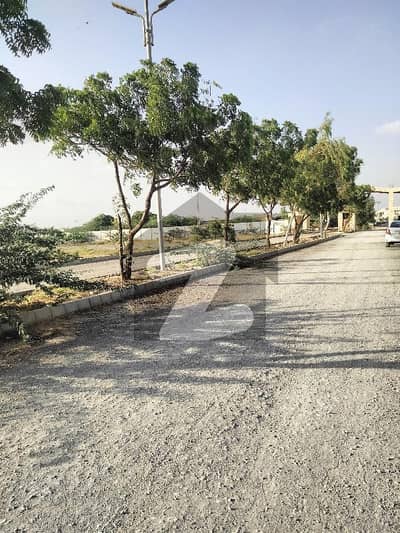 Plot Available For Sale Pakistan Atomic Energy Society 400 Sqyd Leased Plot