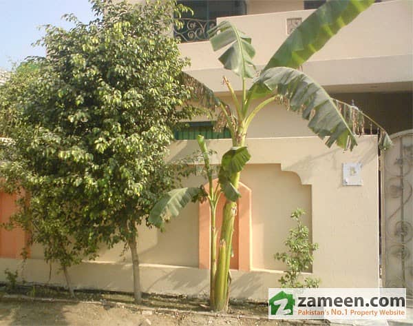 10 Marla 4 Beds House for Rent