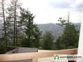 3 Hill view 