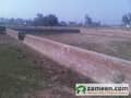 1 Plot View