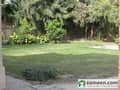 5 Lush Green Lawn
