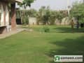 6 Front Lawn View 