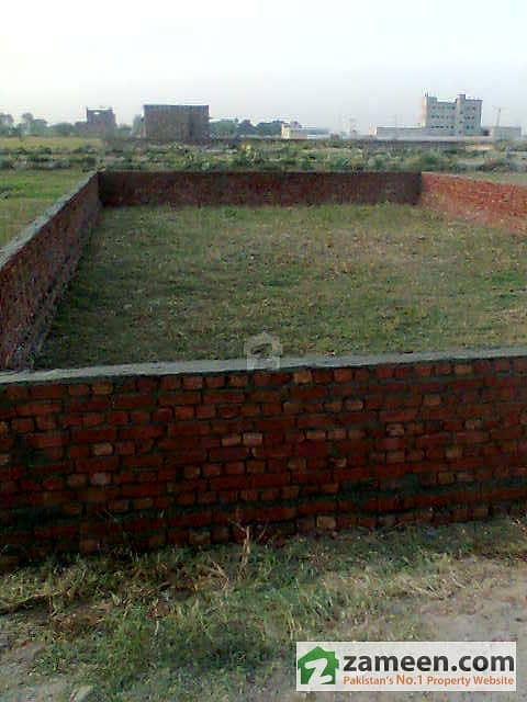 Plot Image Plot Image