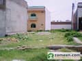 1 Plot View