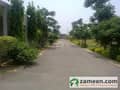 1 Road View