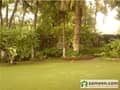 1 Lawn View