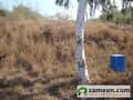 1 Plot View