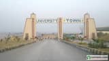 1 View
