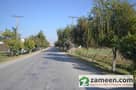 1 Road View