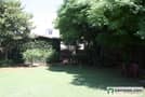 1 Evergreen plot