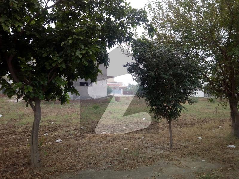 چنار باغ لاہور میں 6 مرلہ کمرشل پلاٹ 90.0 لاکھ میں برائے فروخت۔
