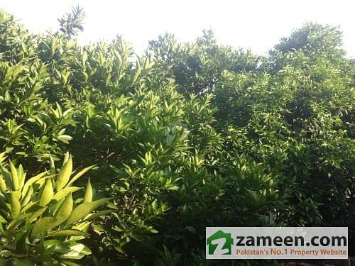 Residential Plot For Sale In Wakefield Garden Khanpur