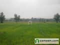 1 agriculture land and dhal bahzadi kohat