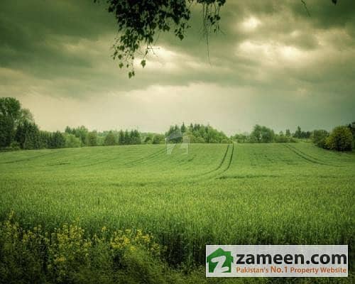 10 Acre Land For Sale With Canal Water