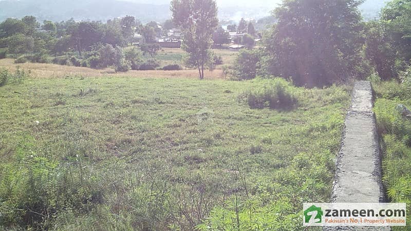 Plot For Sale In Abbottabad Sikandrabad Colony - Mirpur Maira Plot For Sale In Abbottabad Sikandrabad Colony - Mirpur Maira