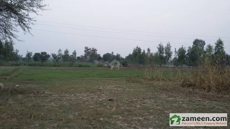 Agricultural Land For Sale Best For Dairy Farm