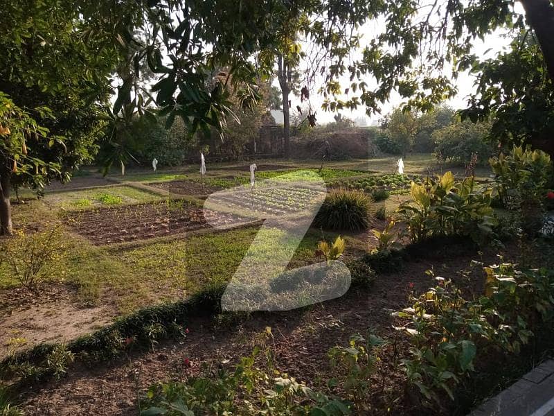 Beautiful Luxury Farm House In P & V Scheme Tarlai Tarlai, Islamabad