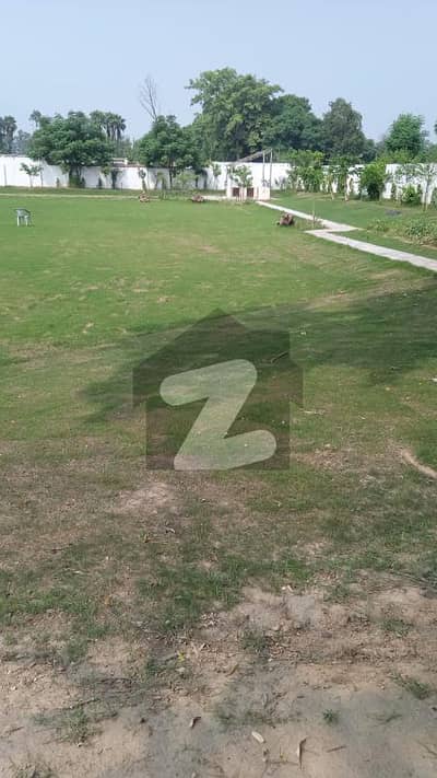 4 Kanal Farm House Land For Sale Thethar Bedian Road Lhr 45 Lakh Per Kanal