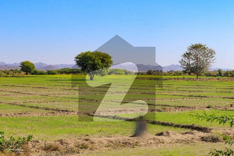 Scenic 10 Acre Green Land Mouza Ziarat Machhi Sharqi Plot For Sale