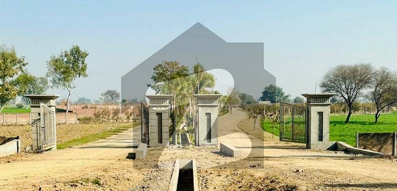 برکی روڈ کینٹ,لاہور میں 1 کنال زرعی زمین 1.05 کروڑ میں برائے فروخت۔