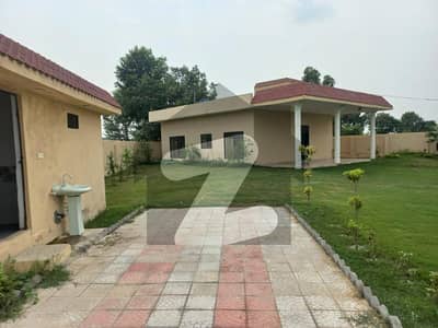 5 Kanal Luxury Farm House Fore Sale At Ferozpur Road With Dairy Farm For Sale